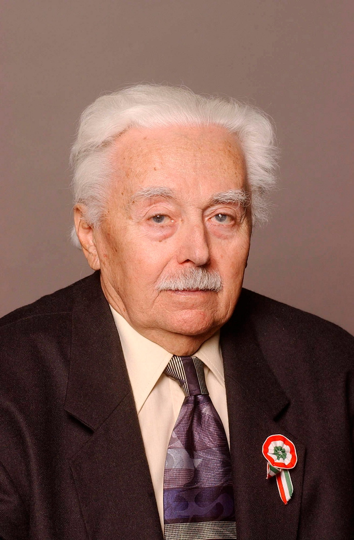 mehes gyorgy portre mti