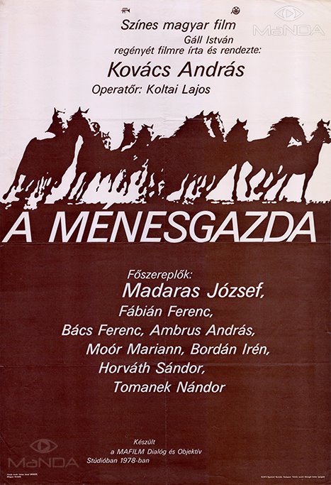 menesgazda