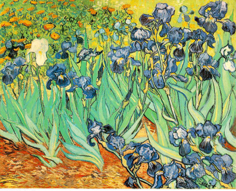 Van Gogh Íriszek című képek